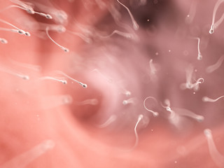 Canvas Print - 3d rendered illustration of a swarm of human sperm