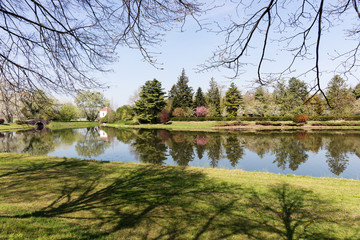 Relaxing botanic garden with lake and green landscape in the spring