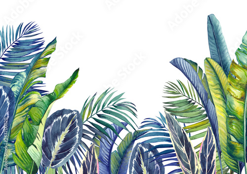 Dekoracja na wymiar  tapeta-dzungla-z-tropikalnymi-palmami-liscmi-bananowca-i-kalatei-na-bialym-tle-akwarela-backg