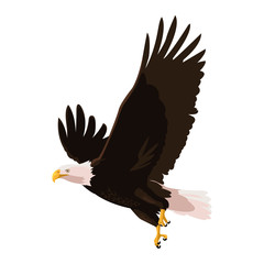 Sticker - beautiful bald eagle flying