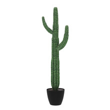 Decorative Cactus Planted In Ceramic Pot Isolated On White Background. 3D Rendering, Illustration.