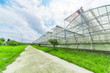 © 一飞 黄 - Greenhouse planting greenhouses and the blue sky white clouds on the road