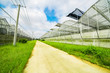 © 一飞 黄 - Greenhouse planting greenhouses and the blue sky white clouds on the road