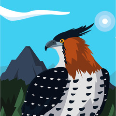 Poster - beautiful hawk majestic bird in the landscape