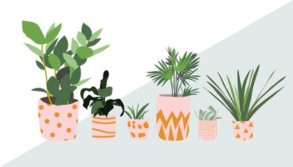 Wall Mural - potted plants collection. succulents and house plants. hand drawn vector art.  Set of house indoor plant vector cartoon doodle.