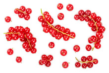 Red Currant Berry Isolated On White Background. Top View. Flat Lay Pattern