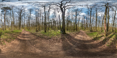 Wall Mural - full spherical hdri panorama 360 degrees angle view on gravel pedestrian footpath and bicycle lane path in pinery forest near huge oaks in sunny spring day in equirectangular projection. VR AR content