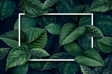 Canvas Print - Forest leaf frame
