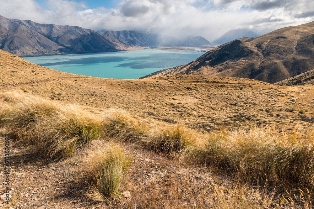 grassy hills above lake Ohau, South Island, New Zealand Stock Photo ...