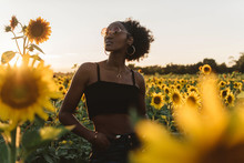 A Young African American Woman In A Sunflower Field At Sunset