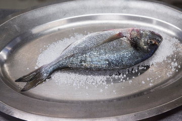 Fish with Salt Food of Bocca di Magra Italy