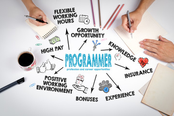 Wall Mural - programmer profession and career opportunities. chart with keywords and icons. the meeting at the wh