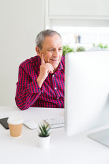 Poster - Handsome senior man working using computer and smiling confident