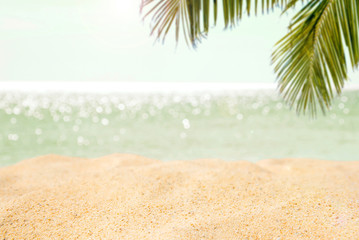 Coconut leaf and beautiful sea background in summer.