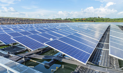 Wall Mural - row of solar cells floating on the water in solar power station