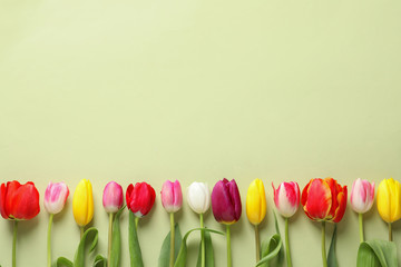  Beautiful spring tulips on color background, top view. Space for text