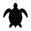 Sea turtle graphic icon. Sea turtle black silhouette isolated on white background. Vector illustration