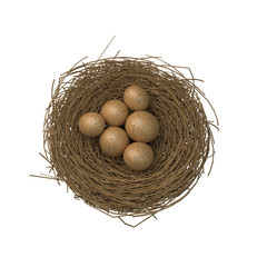 nest with eggs isolated on white