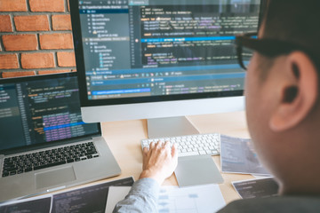 Wall Mural - professional developer programmer working a software website design and coding technology, writing c