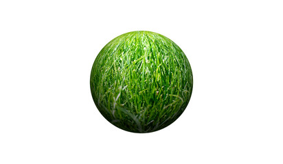 the field of grass on a white background