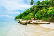 Panama, Bocas Del Toro, Cayo Zapatilla, Beach