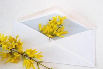 Poster - envelope with yellow spring flowers on a light background. concept spring