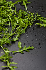 Canvas Print - Green fresh rucola or arugula leaves closeup on black wet background