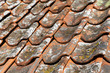 © hans_chr - Very old tiled roof with moss and lichen