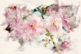 Fototapeta Kwiaty - close-up of branch of pink cherry blossoms