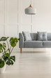 © Photographee.eu - Gray comfortable sofa in stylish living room