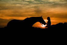 Silhouette Of Teenage Girl And Horse Together In A Field At Sunset