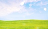 Fototapeta Kuchnia - Field of green grass with white clouds