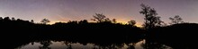 Swamp Silhouette Panorama At Night With Stars
