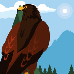 Sticker - beautiful eagle majestic bird in the landscape