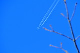 Fototapeta Dmuchawce - 札幌上空を飛ぶ飛行機の風景