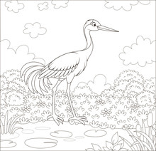 Red-crowned Crane Bird By A Small Lake Among Cane, Grass And Flowers Of A Meadow On A Summer Day, Black And White Vector Illustration In A Cartoon Style