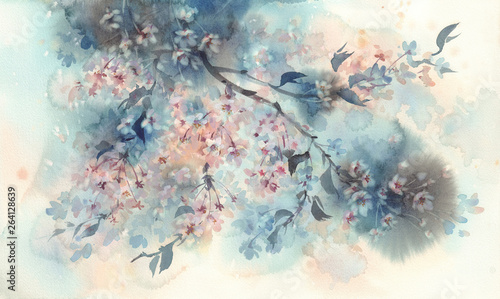 Fototapety Botaniczne  white-sakura-flower-blossom-on-a-dark-background-watercolor
