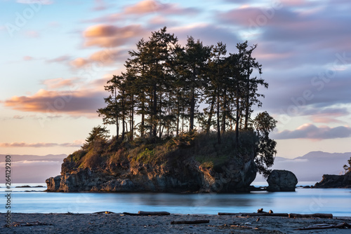 picture Salt Creek Beach Washington https stock adobe com uk images the island at salt creek beach tongue point near joyce washington 264129280 start checkout 1 content id 264129280