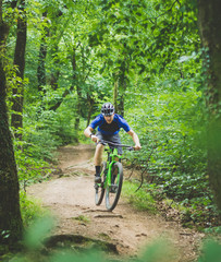 Wall Mural - Man mountain bikes in forest