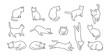 cat vector kitten icon logo cartoon character illustration doodle white