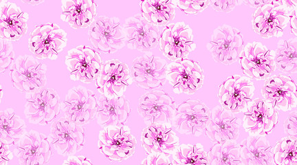 Wall Mural - Seamless Flowers Pattern, Roses.