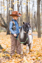 Caucasian Boy In The Cowboy's Suit In The Park Irons A Little Horse Of A Pony. Autumn Day, The Fallen-down Yellow Foliage