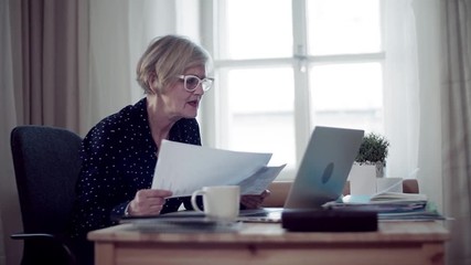 Wall Mural - An active senior woman with laptop working in home office, looking at documents.