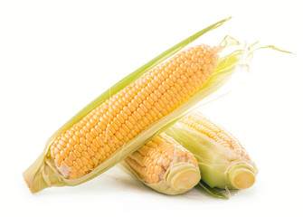 Wall Mural - fresh raw corn cob isolated on white background