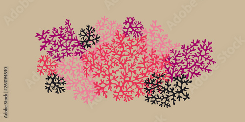 Decorative isolated coral s...