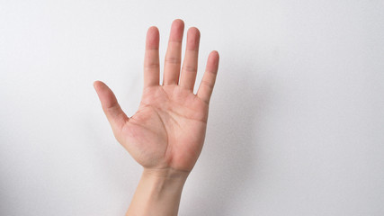 empty hand  palm on white background.