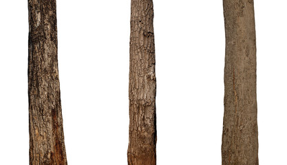 Aufkleber - Trunks isolated on white background.