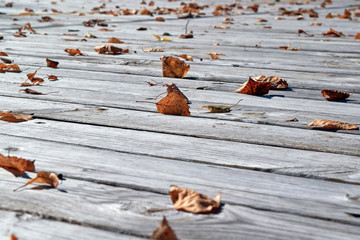 On the surface of the wooden boards is a lot of fallen autumn leaves. Warm autumn day, the sun is shining. The leaves are yellow and brown. Shallow depth of field. Background, backdrop.