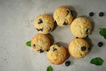 Wall Mural - Homemade Lemon Blueberry Muffins with sugar topping, selective focus