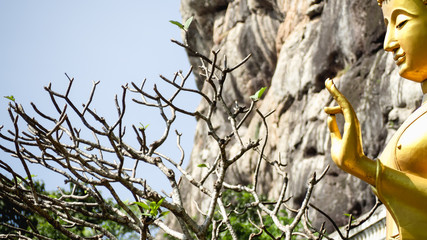 Wall Mural - Golden Buddha Located by the mountains And the nearby area has a nearby monastery  and tree.